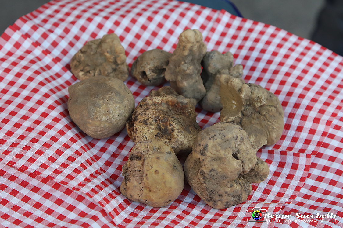 VBS_5695 - 10.ma Fiera Nazionale del Tartufo e Fiera dei Santi.jpg